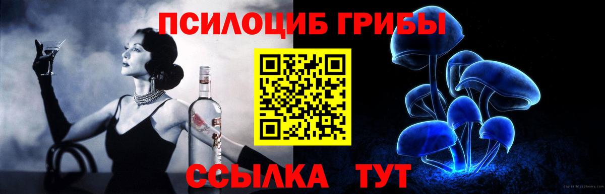 Осинники  Псилоцибиновые грибы мицелий  Вход с VPN 