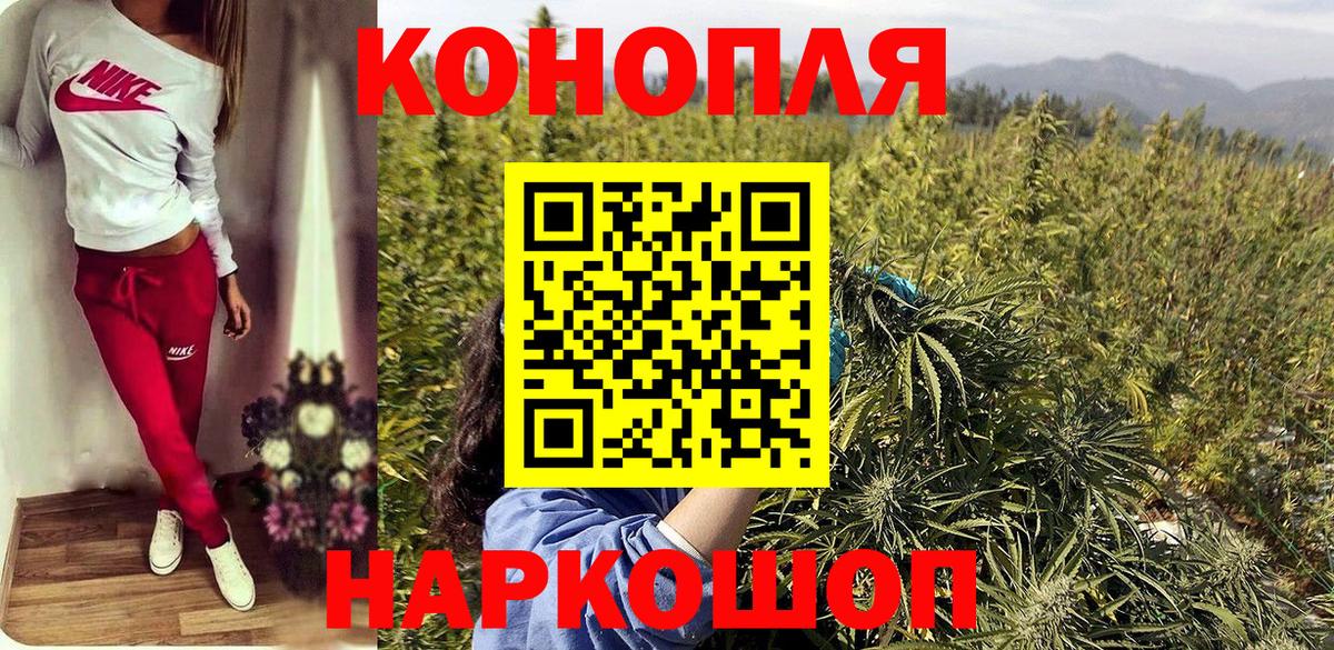 Осинники  Марихуана планчик  Марихуана Ganja  Каннабис индика  Вход с VPN 